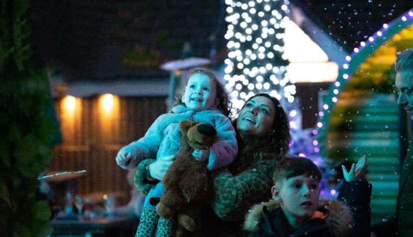 Forest of Light at Sandy Balls